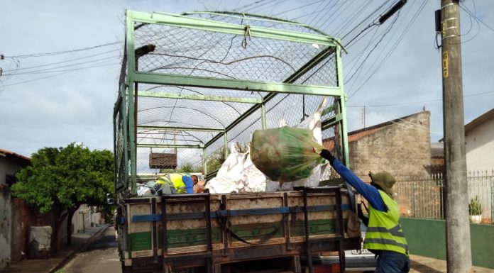 Coleta de lixo reciclável ainda é feita sem os sacos verdes em Dracena