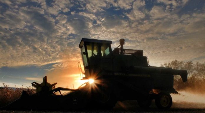Seca histórica no Paraná atrasa plantio e pode comprometer próximas safras de grãos