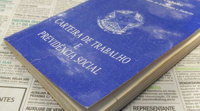 Taxa de desemprego fica em 14,1% no trimestre até novembro, afirma IBGE
