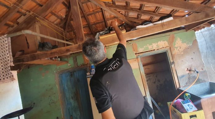 Polícia Civil deflagra Ação para Combate de Furto de Gado em Sandovalina