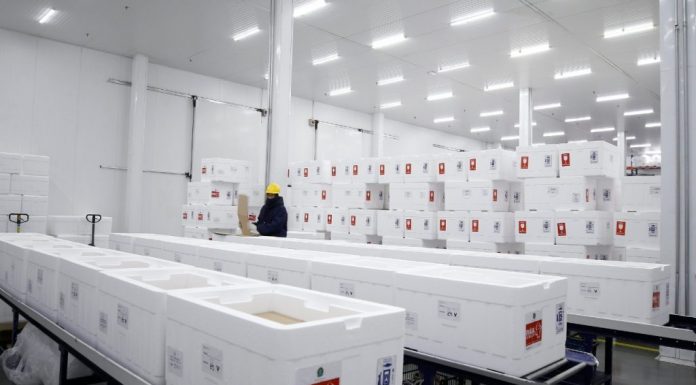 Saúde alerta estados e municípios que é imprescindível seguir o Plano Nacional de Vacinação contra Covid-19