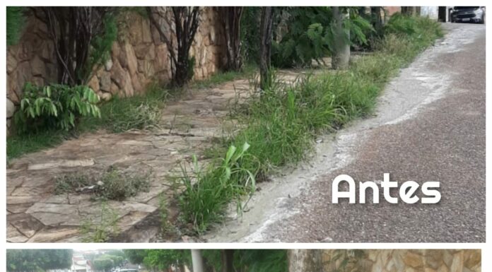 Mesmo com mão-de-obra reduzida Secretaria de Agricultura promove limpeza pela cidade