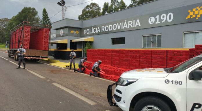 Polícia Rodoviária apreende três mil quilos de maconha