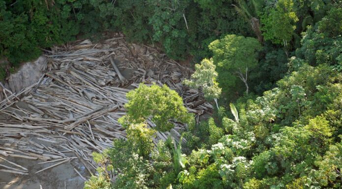 Observatório do Clima disponibiliza dados de emissões de gases de efeito estufa por municípios