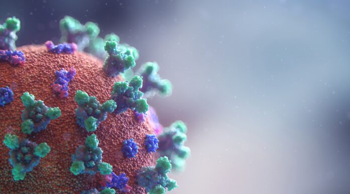 Combate à pandemia: veja como ficam agora as regras