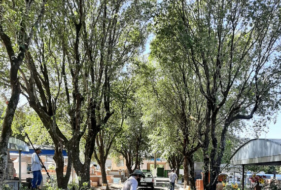 Cemitério funcionará neste dia das mães em horário normal