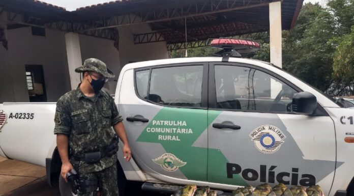 Polícia Ambiental autua homem por transporte irregular de pescado em Tupi Paulista