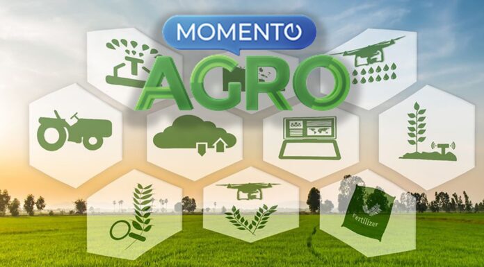 Jornal Interativo estreia neste domingo o Momento Agro