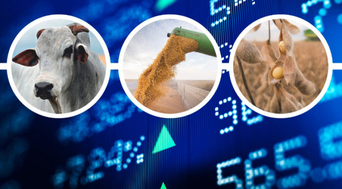 Preços agropecuários sobem 1,09% em Abril/2021: alta de 35,47% no acumulado em 12 meses