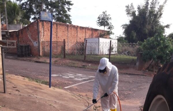 Agricultura dá sequência a controle de pernilongos pela cidade