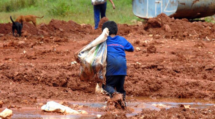 Brasil tem bons indicadores, mas ainda é foco de exploração infantil