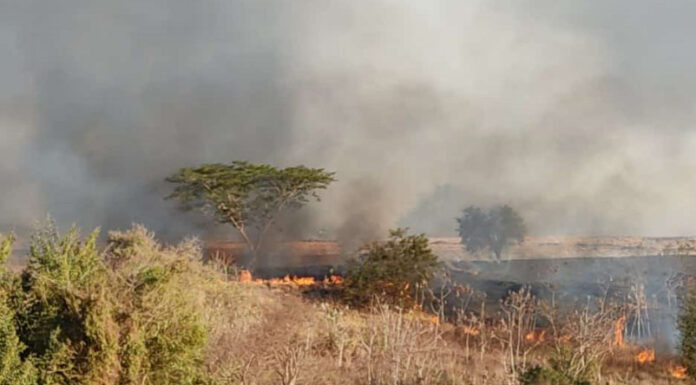 Incêndio é registrado em mata perto de Flora Rica