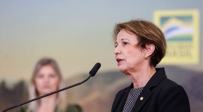 BB libera R$ 2 bi para recuperação de lavouras atingidas por geada Alan Santos/PR