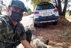 Cedida Polícia Militar Ambiental