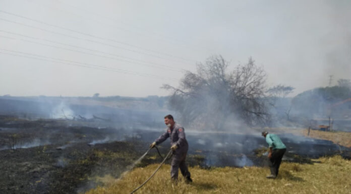 Queimada em área de pastagem mobiliza bombeiros Fernando Pereira
