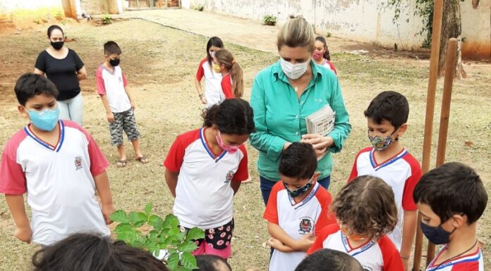 Dia da Árvore tem ação do Meio Ambiente com estudantes Cedida Prefeitura de Dracena
