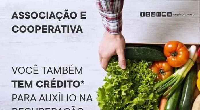 Cedida