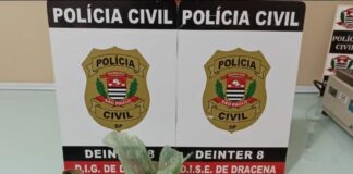 Cedida Polícia Civil