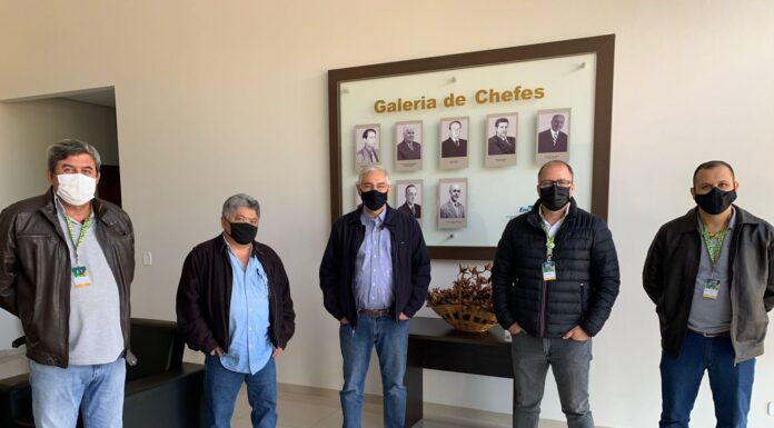 Embrapa anuncia estudo do Gigante Boliviano em consórcio com Braquiária e Panicum Cedida Embrapa/Rafael Zanoni Fontes