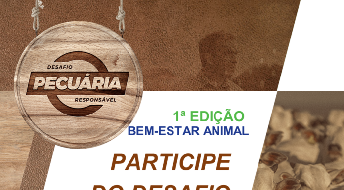 Coimma apoia o Desafio da Pecuária Responsável