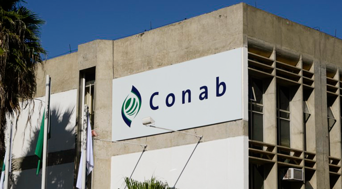 Conab e Programa Mundial de Alimentos assinam protocolo de intenções para troca de experiências no combate à fome Reprodução Governo Federal
