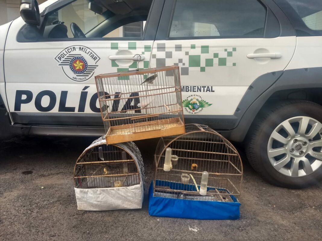 Cedida Polícia Militar Ambiental