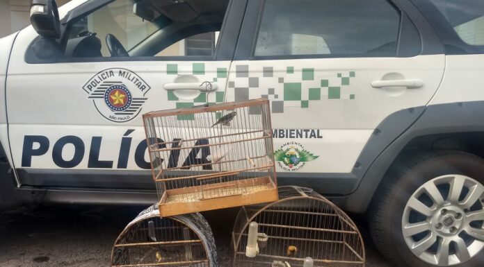 Cedida Polícia Militar Ambiental