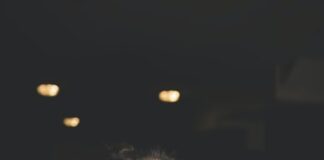 Reprodução Unsplash
