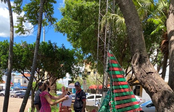 Secretaria de Cultura inicia instalação da decoração de Natal pela cidade Cedida Prefeitura de Dracena