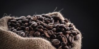 Reprodução Unsplash