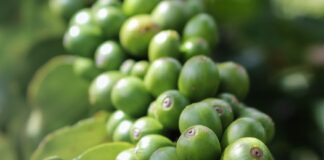 Cedida Unsplash