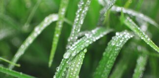 Reprodução Unsplash