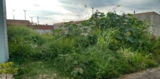 Cedida Prefeitura de Dracena