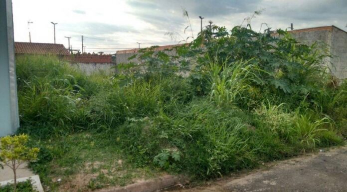 Cedida Prefeitura de Dracena