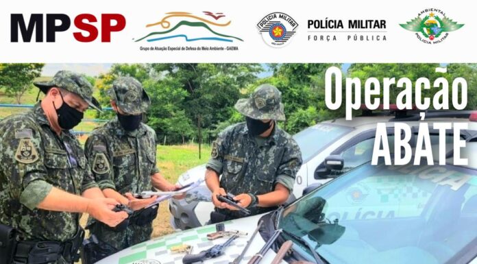 Polícia Militar Ambiental e Ministério Público divulgam resultados da Operação ABATE Cedida Polícia Ambiental