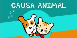 Imagem Ilustrativa