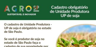 Cedida Prefeitura