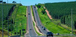 Cedida Cart
