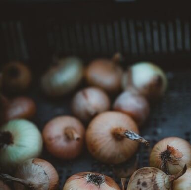 Conab aponta redução de preços da batata devido à oferta recorde do tubérculo enquanto cotações de cebola sobem Reprodução Unsplash