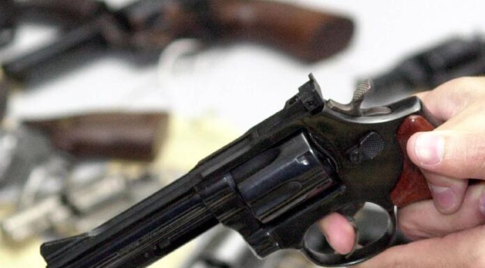 Resolução detalha avaliação psicológica para porte de arma Cedida Arquivo Agência Brasil