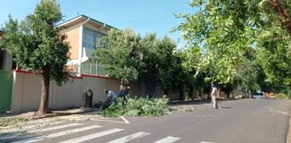 Cedida Prefeitura