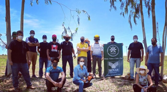 Dracena oferece curso de Operação e Manutenção de Motosserra Cedida Arquivo Sindicato Rural