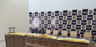 Cedida Polícia Civil