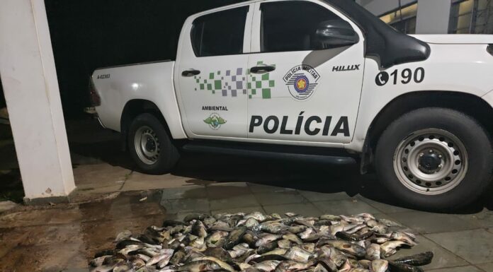 Polícia Ambiental flagra pesca predatória em Panorama e autua homem em R$ 2,5 mil Cedida Polícia Ambiental