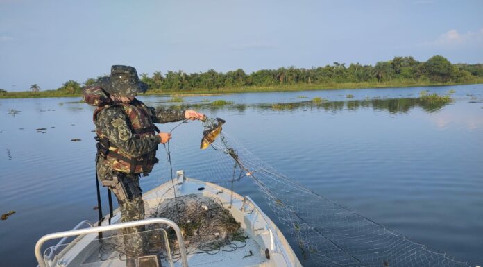 Polícia Ambiental recolhe e apreende 400 metros de redes de pesca em Panorama Cedida Polícia Ambiental