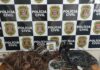 Cedida Polícia Civil