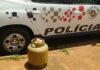 Cedida Polícia Militar