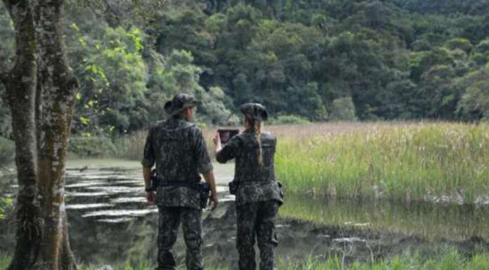 Cedida Polícia Ambiental