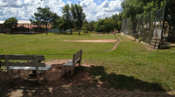 Prefeitura promove trabalho de zeladoria pela cidade Cedida Prefeitura