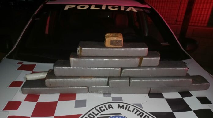 Combate ao tráfico: Polícia Militar em Panorama apreende 12 tabletes de maconha escondidos em canavial e prende duas pessoas por tráfico de drogas Cedida Polícia Militar